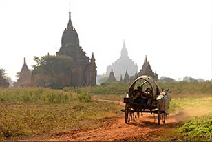 Bagan View
